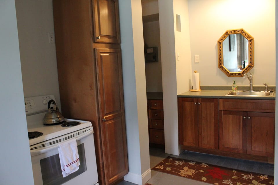 Kitchen area: electric range and sink area