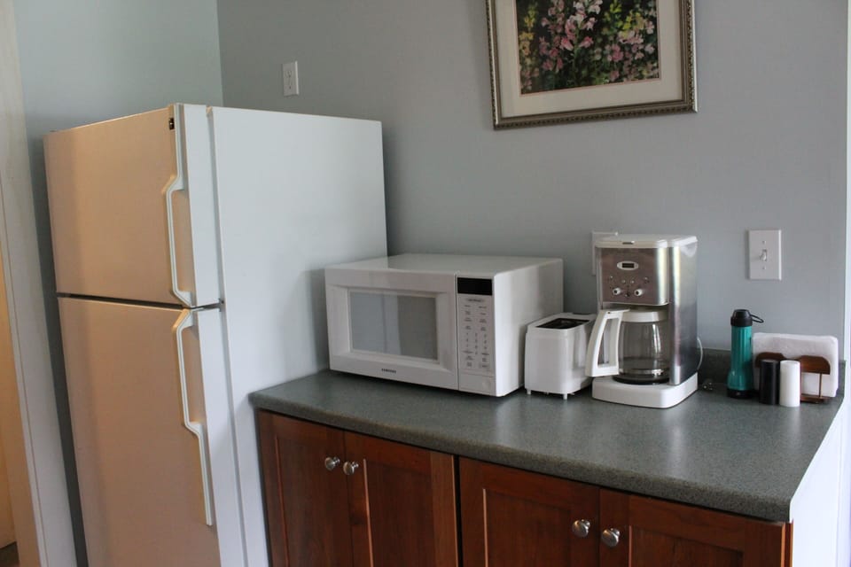Kitchen area: full sized fridge, micro, toaster, and coffee maker