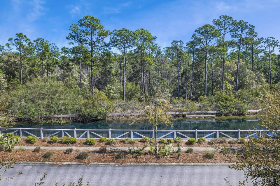 Overlooking One of Many Neighborhood Ponds