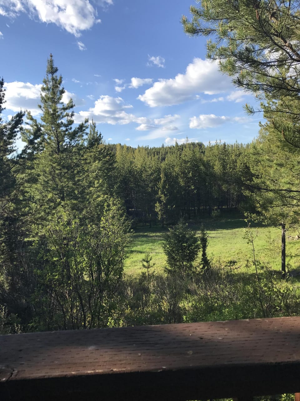 View off back deck