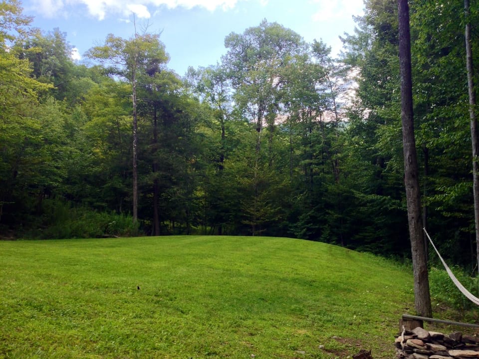 Back Yard w/ Fire Pit