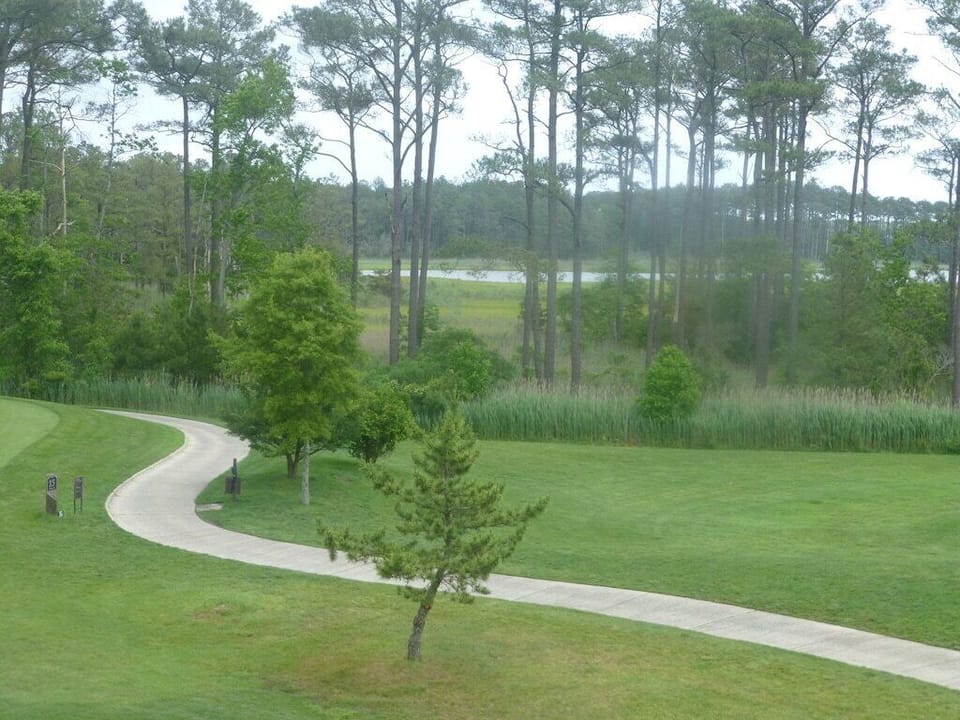 View from 3rd floor master balacony