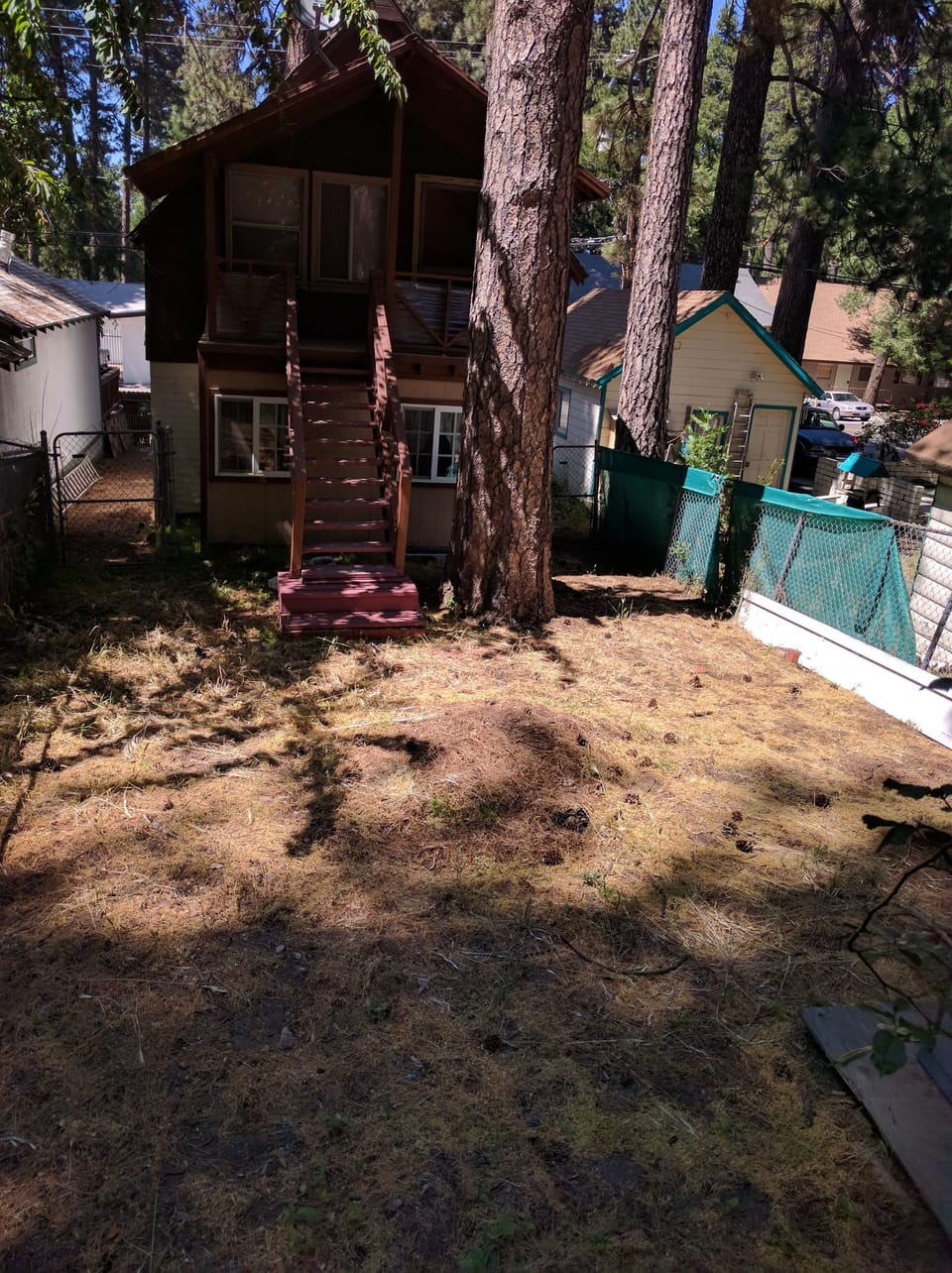 Back of house and yard