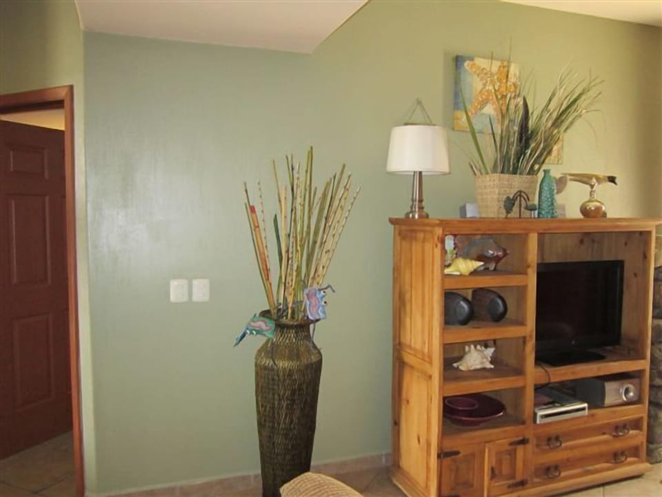 Living area, stereo, tv, dvd player
