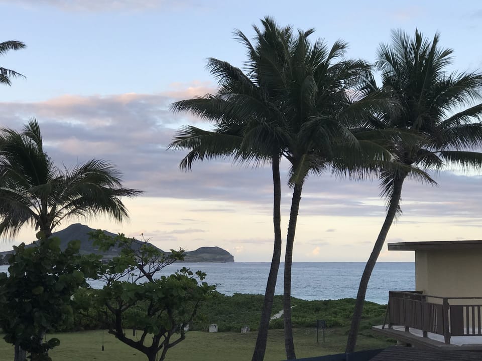 View from property