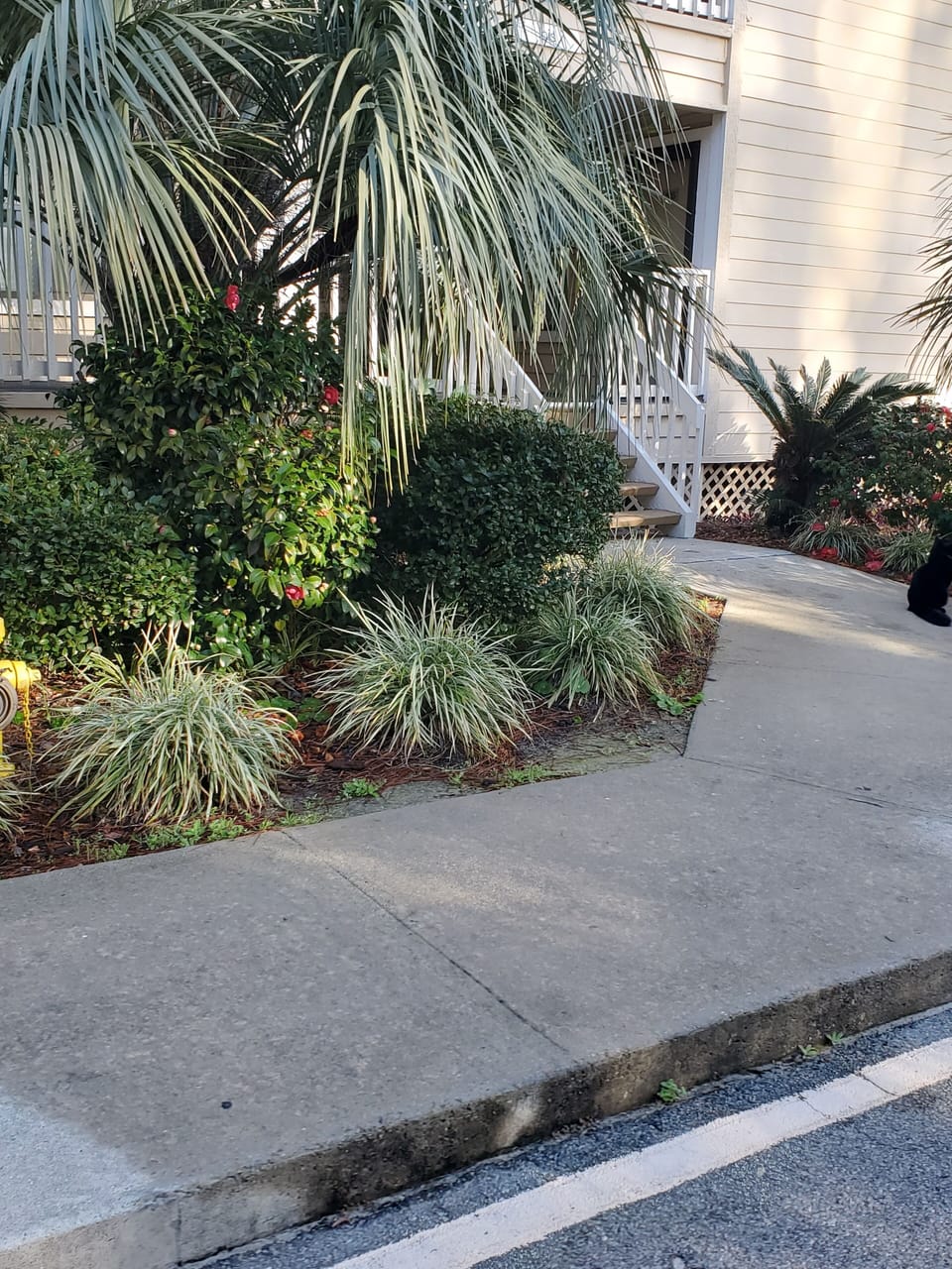 Property grounds