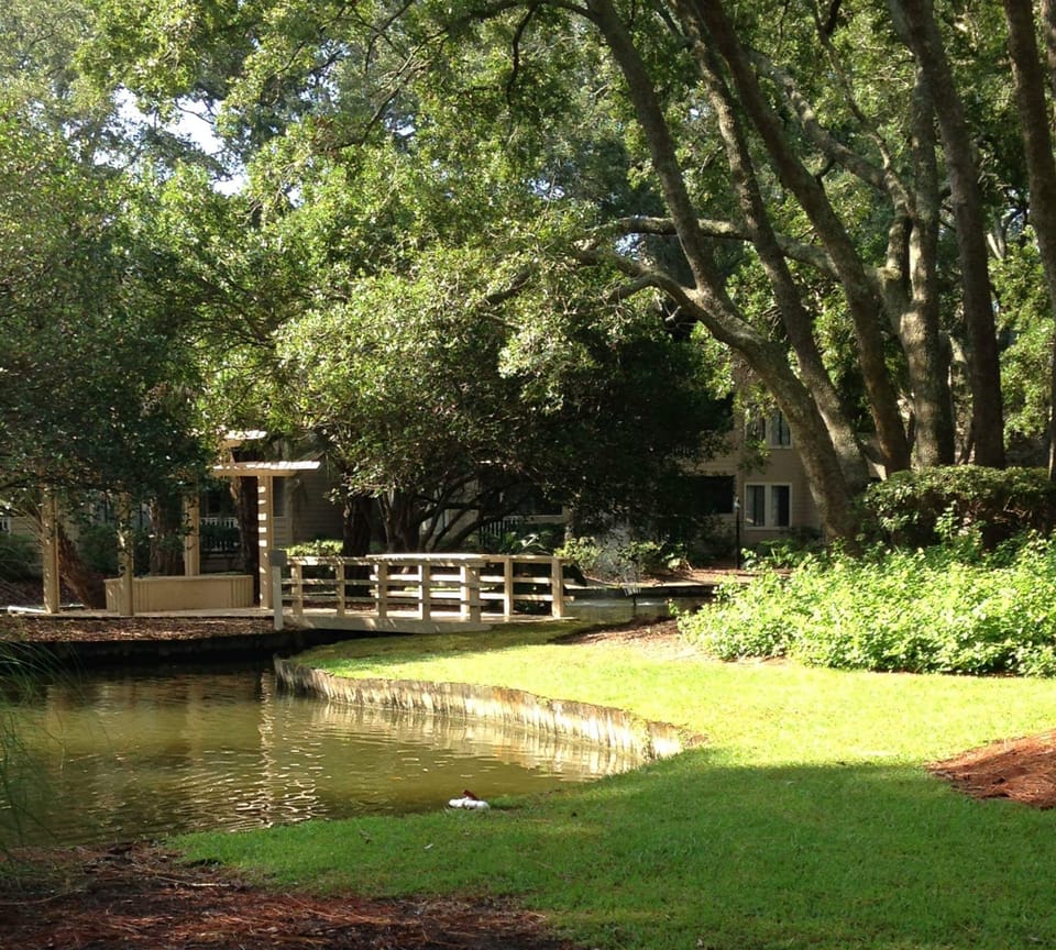 THE LAGOON