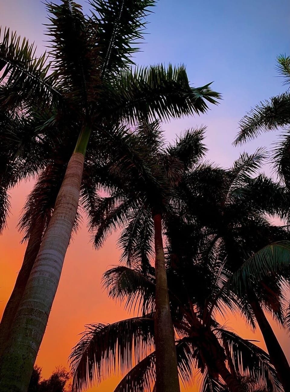 Enjoy the lovely Sunsets!