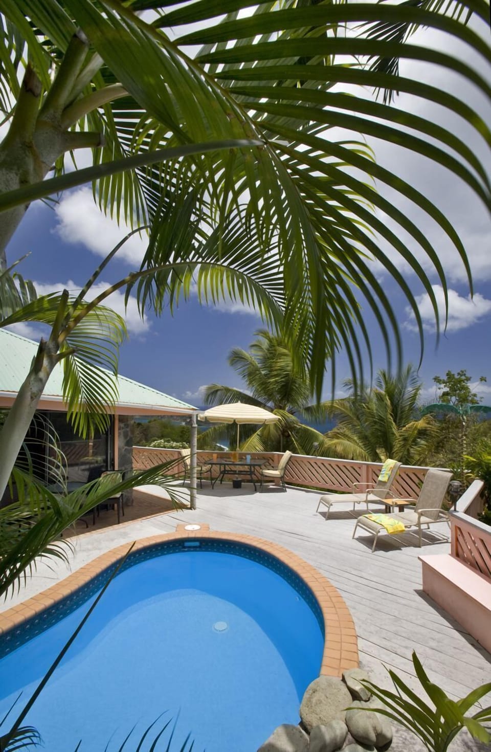 Your cocktail pool :)