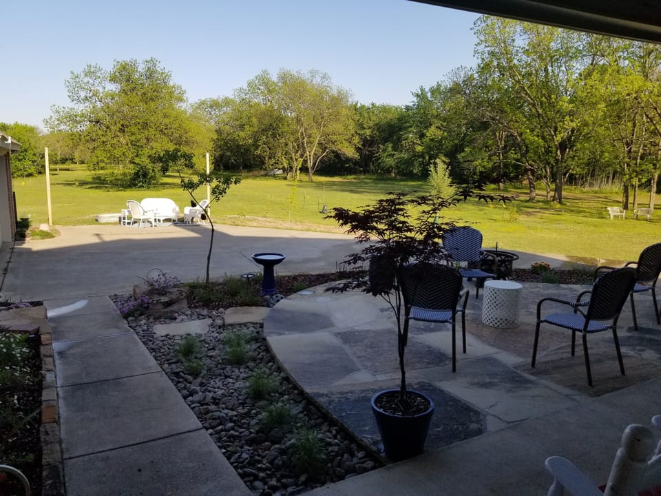 Back yard