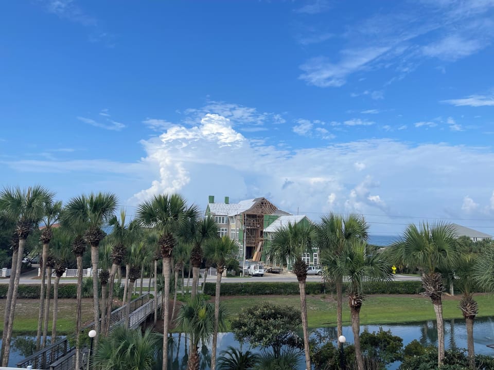View as of 8/23