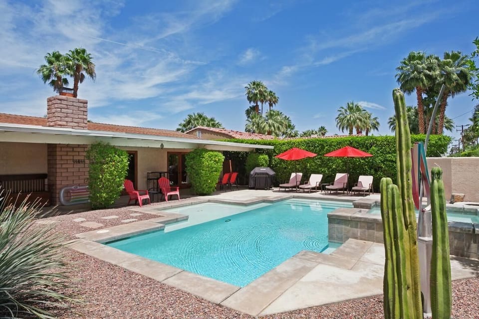 Lounge by the pool surrounded by Palm trees 