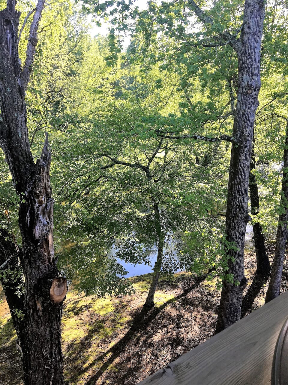 Tranquil view from the deck.