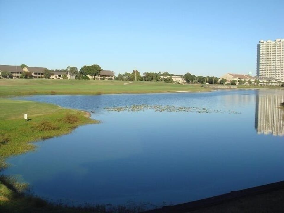 View from Master BR
