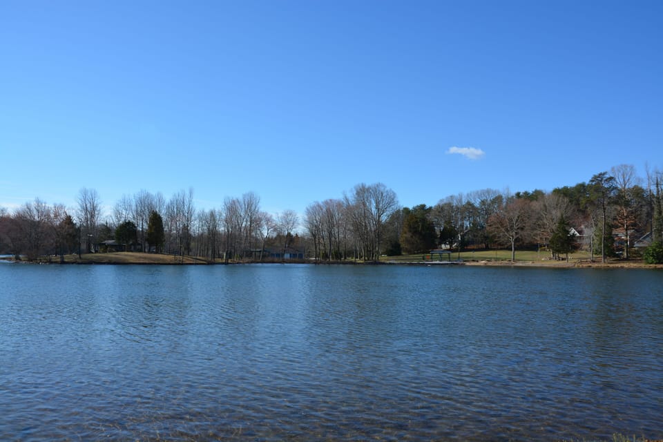 View of Whole Property