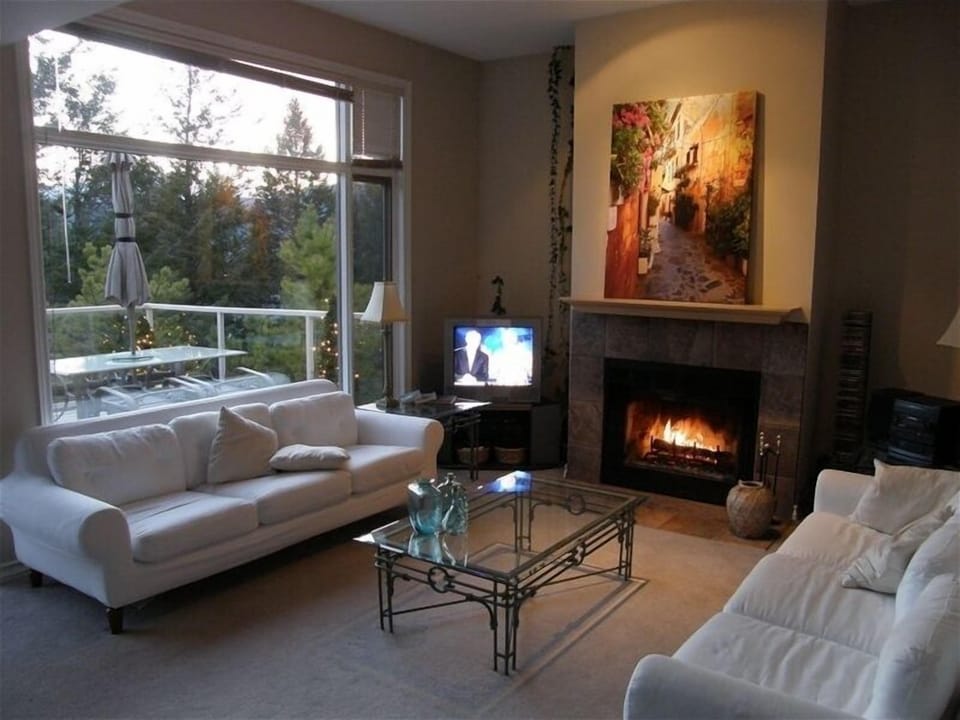 Living room and wood burning fireplace