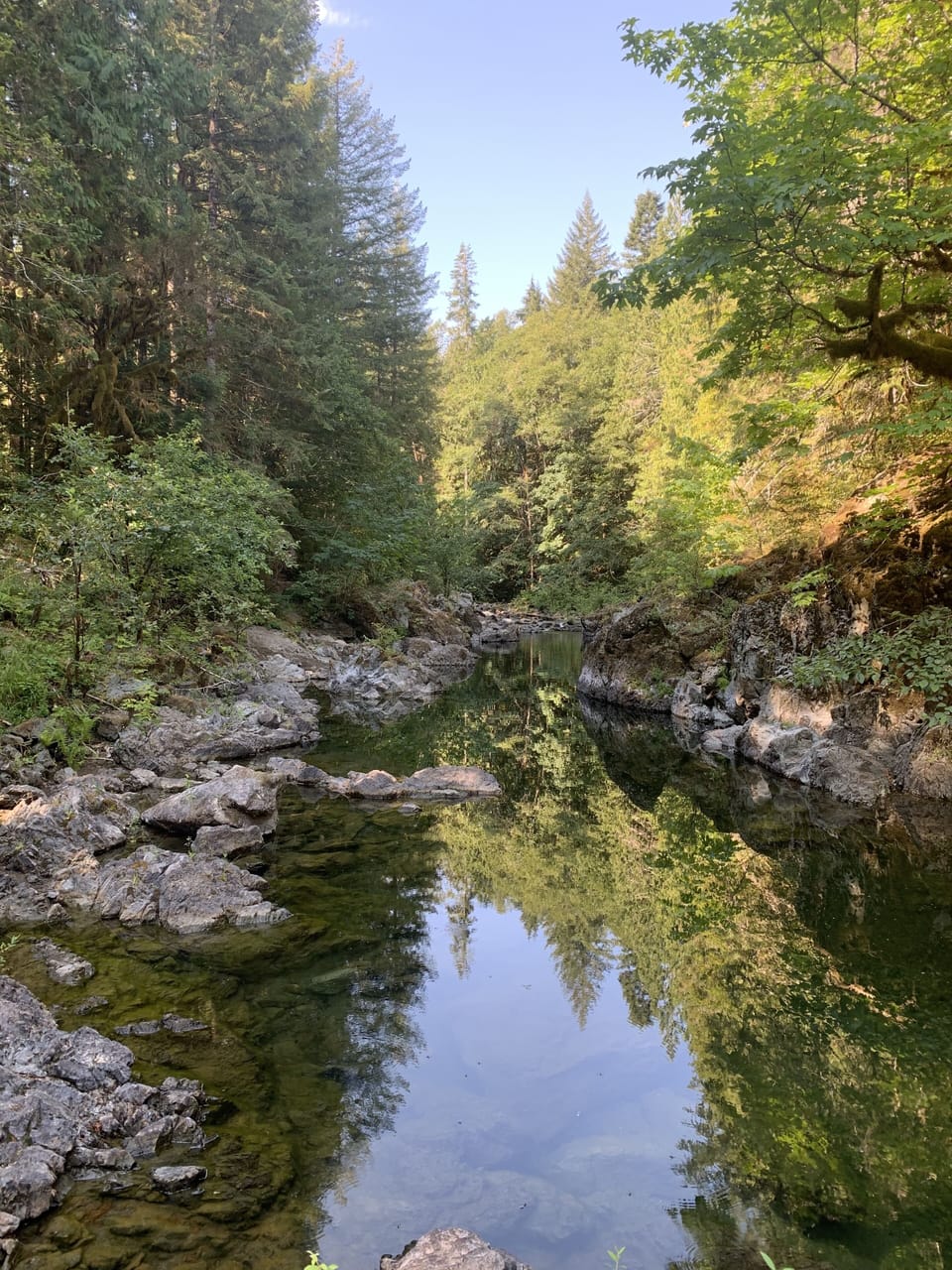 Koksilah River behind the cottage great to swim in. 