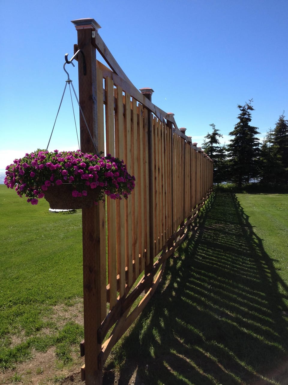 Fence for privacy 