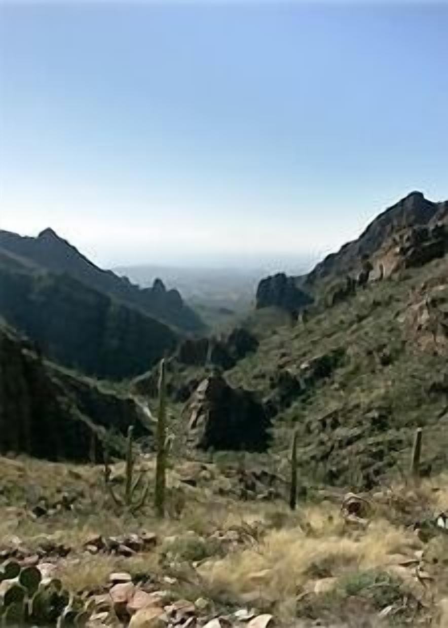 This hiking is right out back!  Miles of hiking trails!