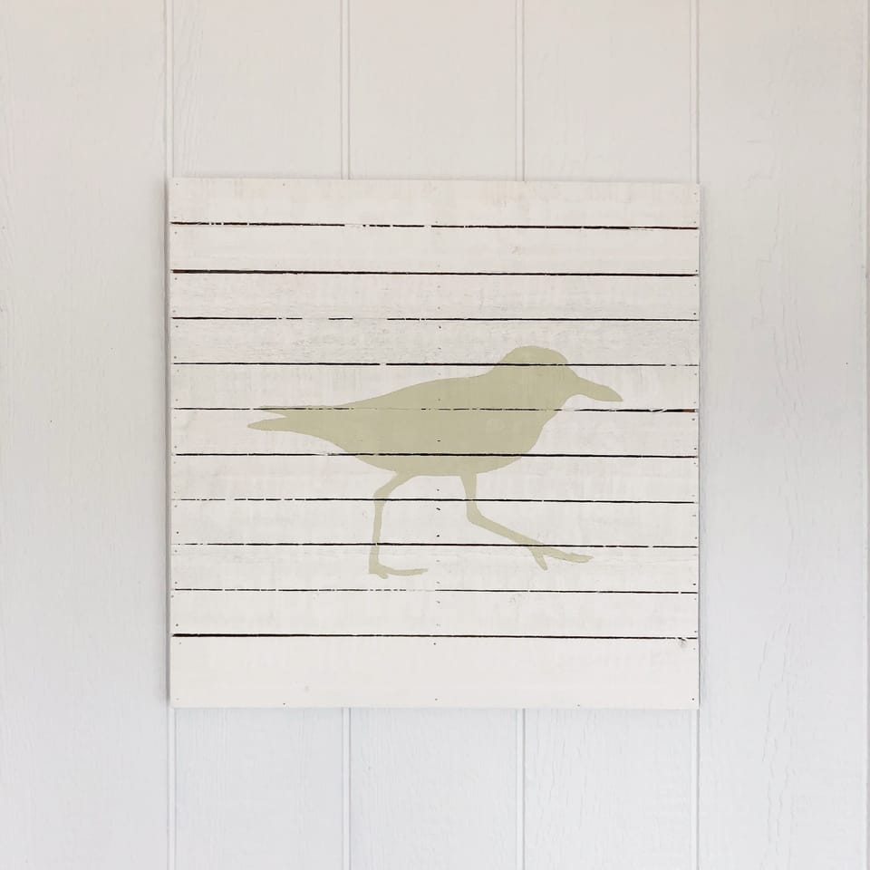 Our plover