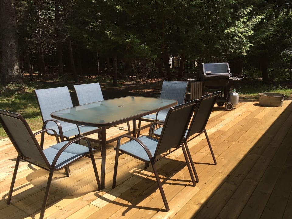 Deck with new gas and small, charcoal grills