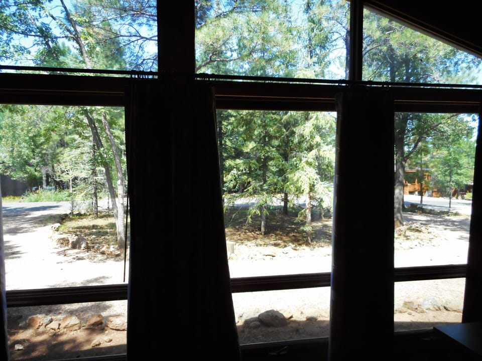 Privacy with Ponderosa, Spruce, Maple, and other huge trees.