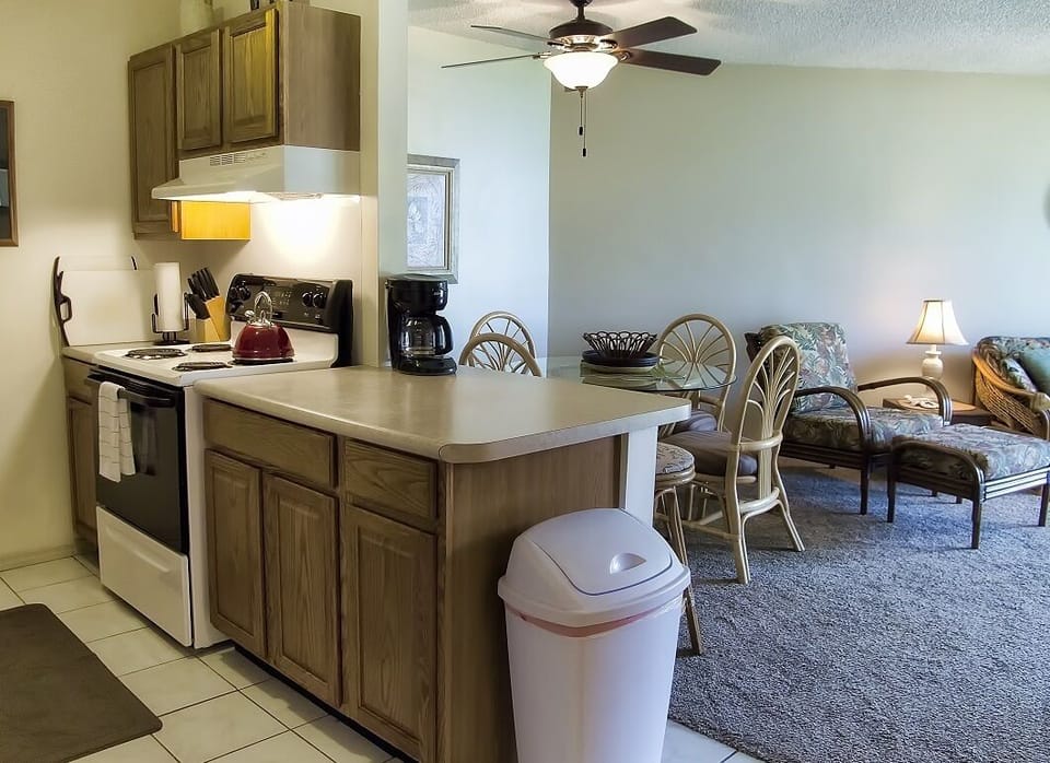 Kitchen, dining and living area