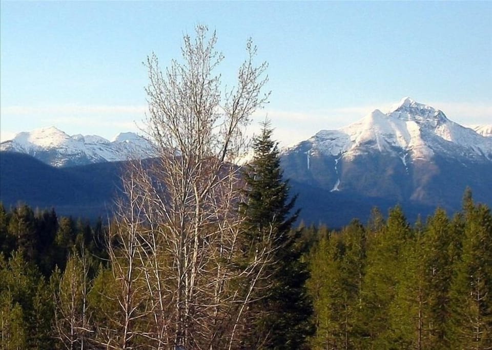 View at the end of Driveway