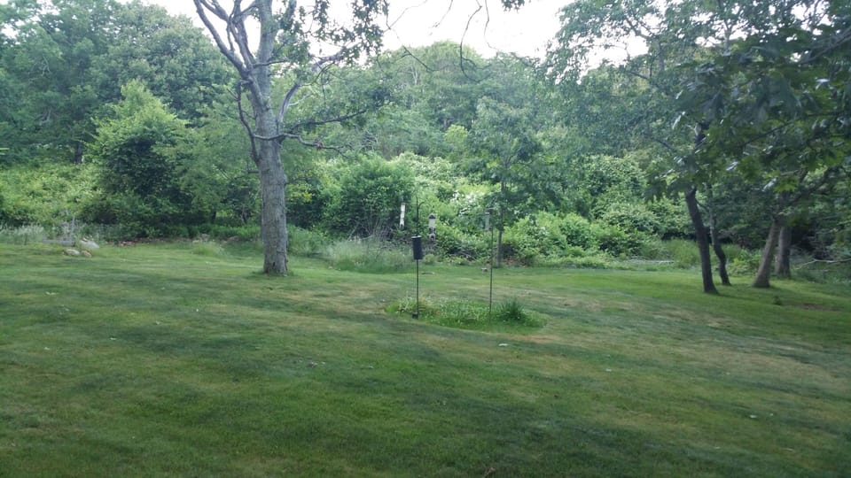 Great Big Backyard 