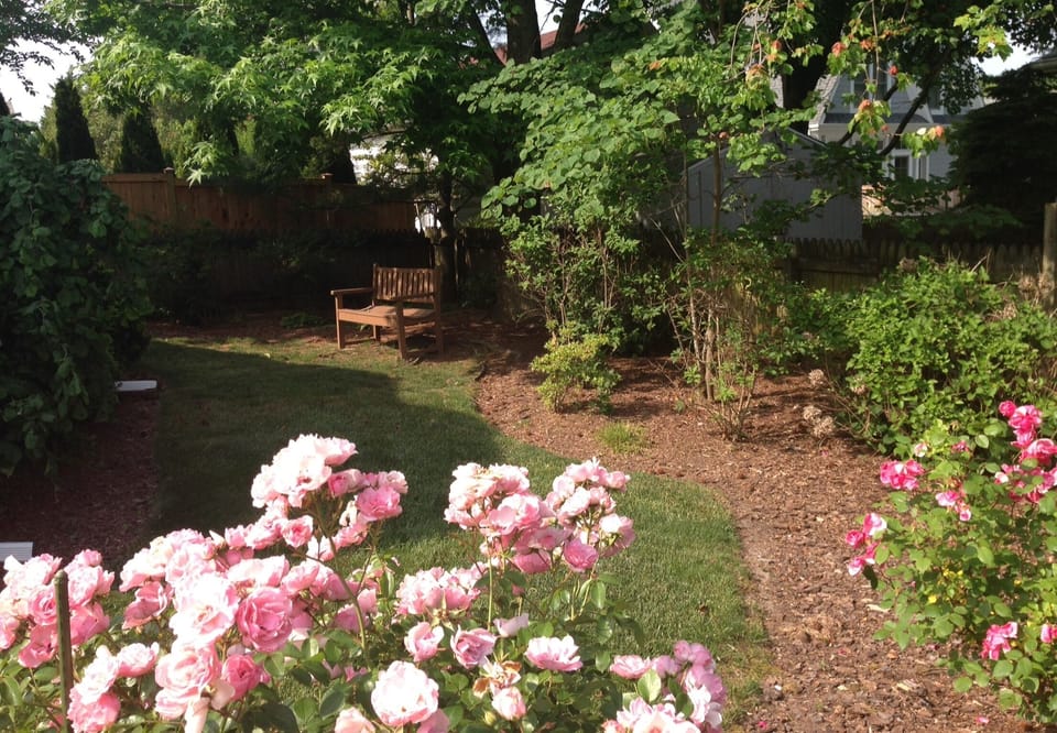 Rear garden with lawn and plenty of room.