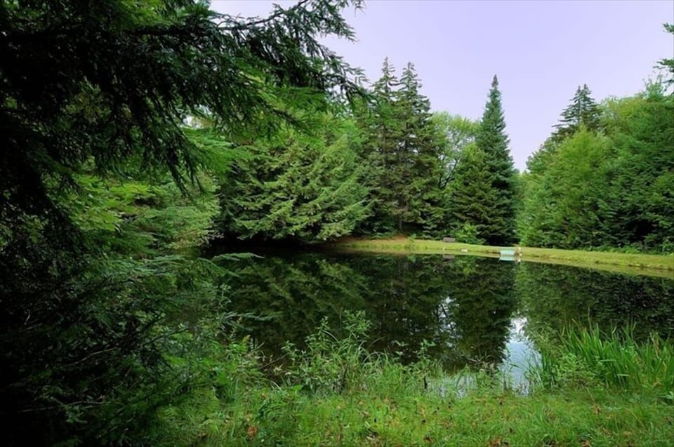 Pond as seen from the far side looking back towards the cabin.