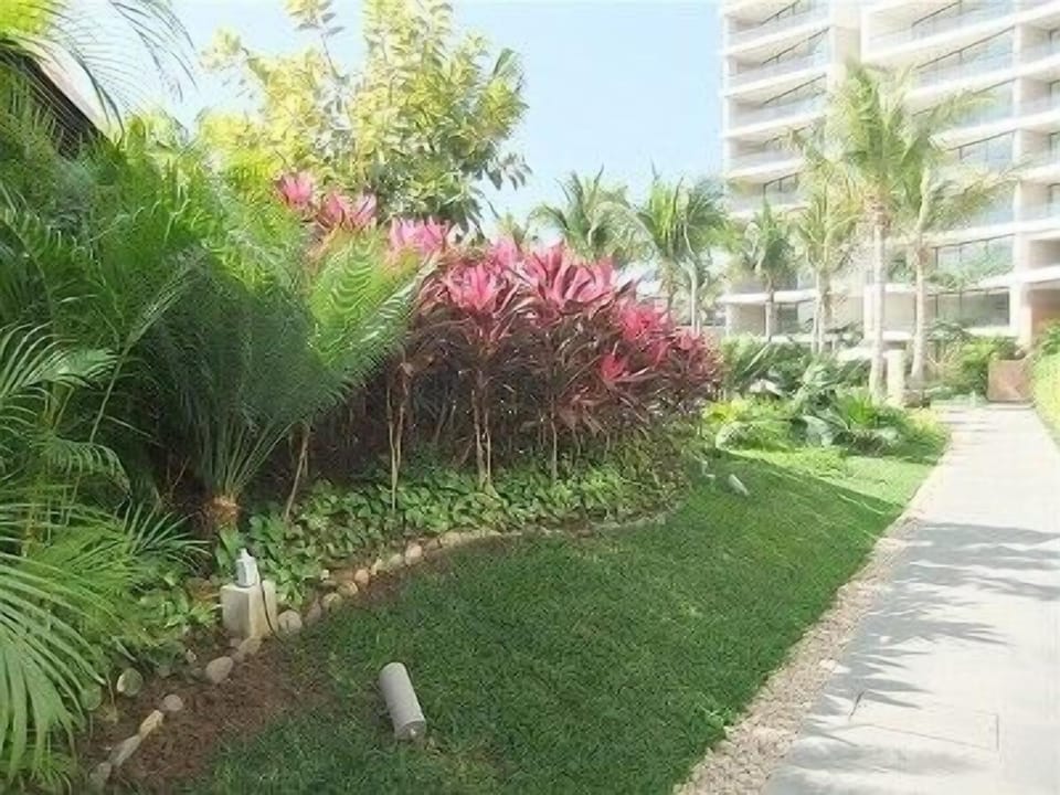 Beautifully landscaped common grounds