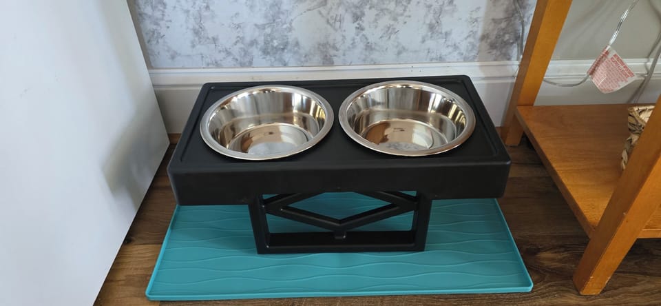 Adjustable Height Fur Baby Feeding Station