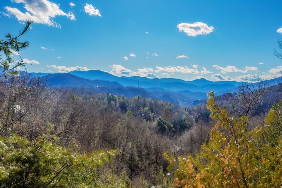 Views of Mt. LeConte and surrounding mountains.