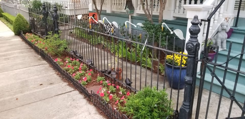 Front Garden view