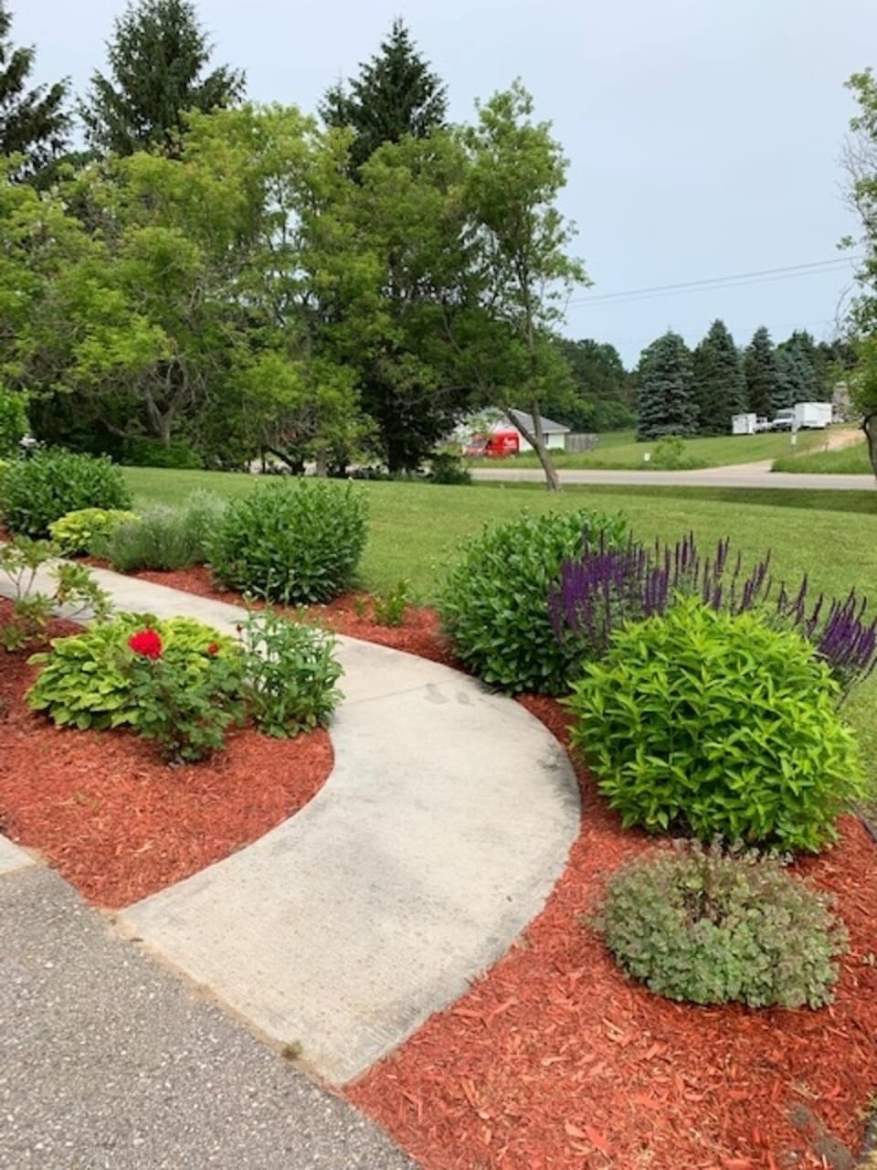 Flowers ready to bloom
