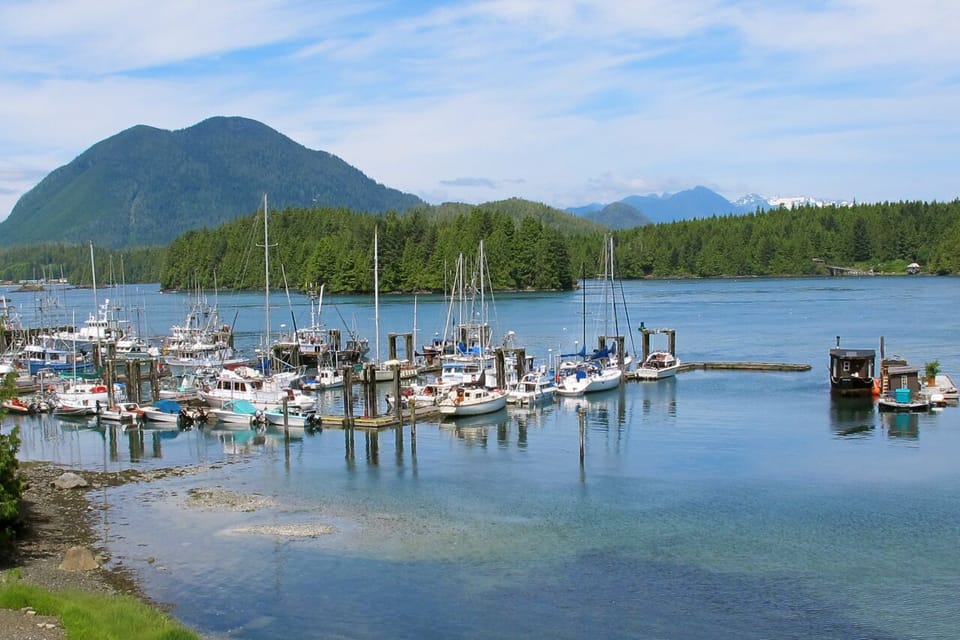 View of Tofino's Inner Harbour and Meares Island