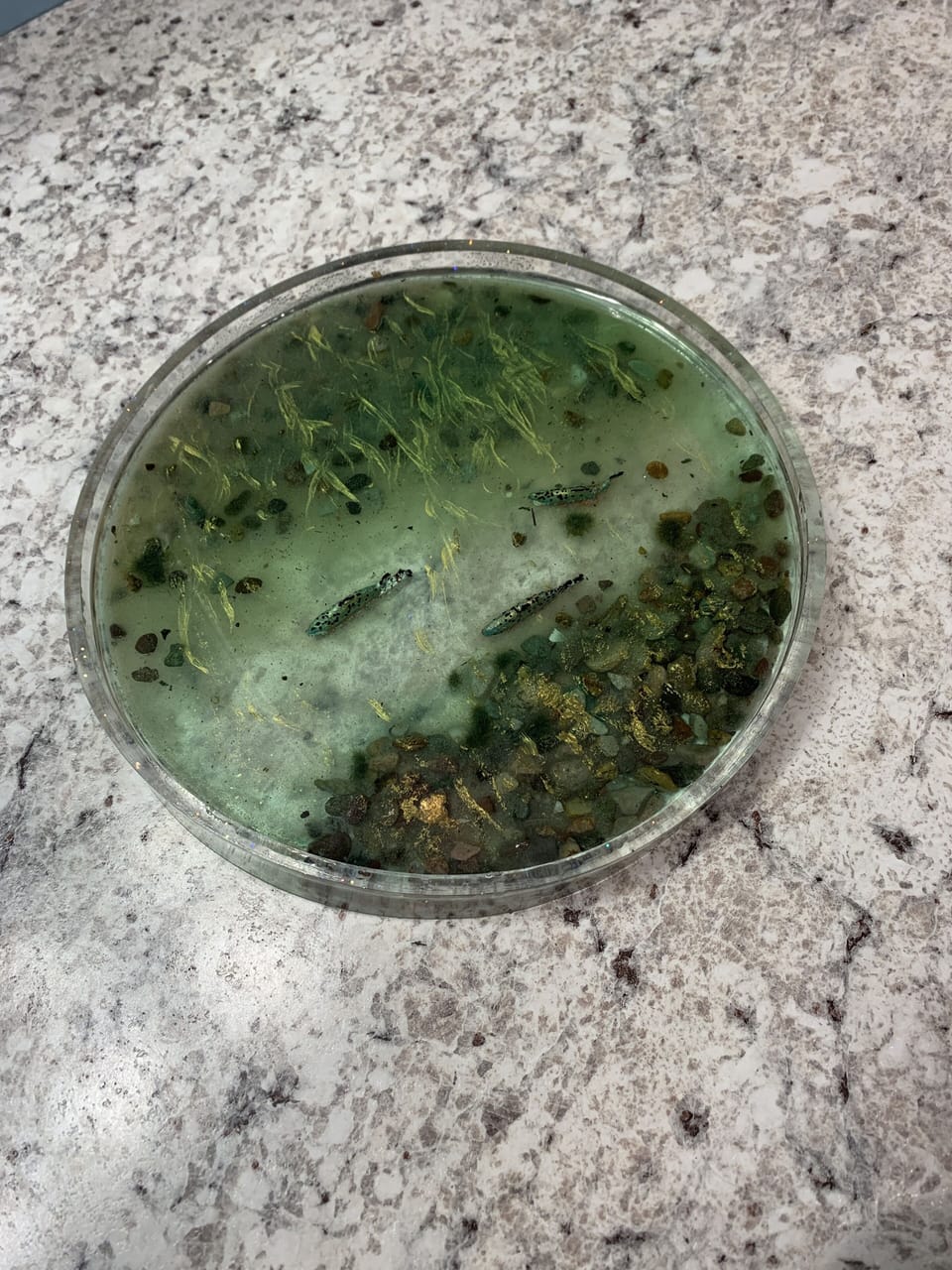 Rae made this trey with trout representing the Bitterroot River.