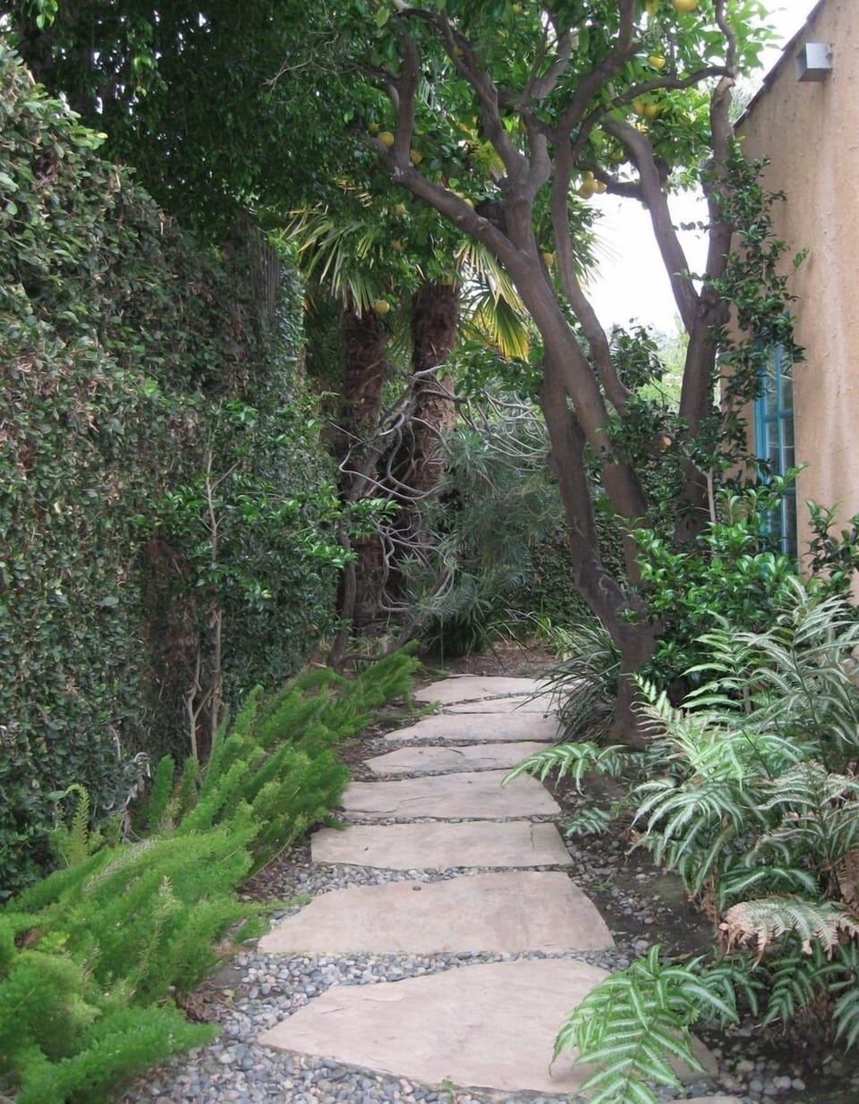 Garden and path behind guest house
