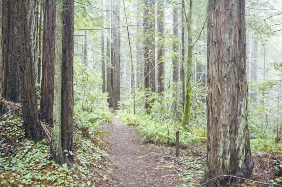 Jackson State Forest is adjacent to our property