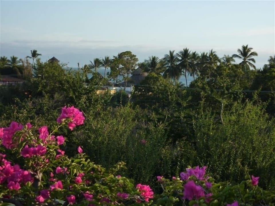 Ocean view from rooftop deck