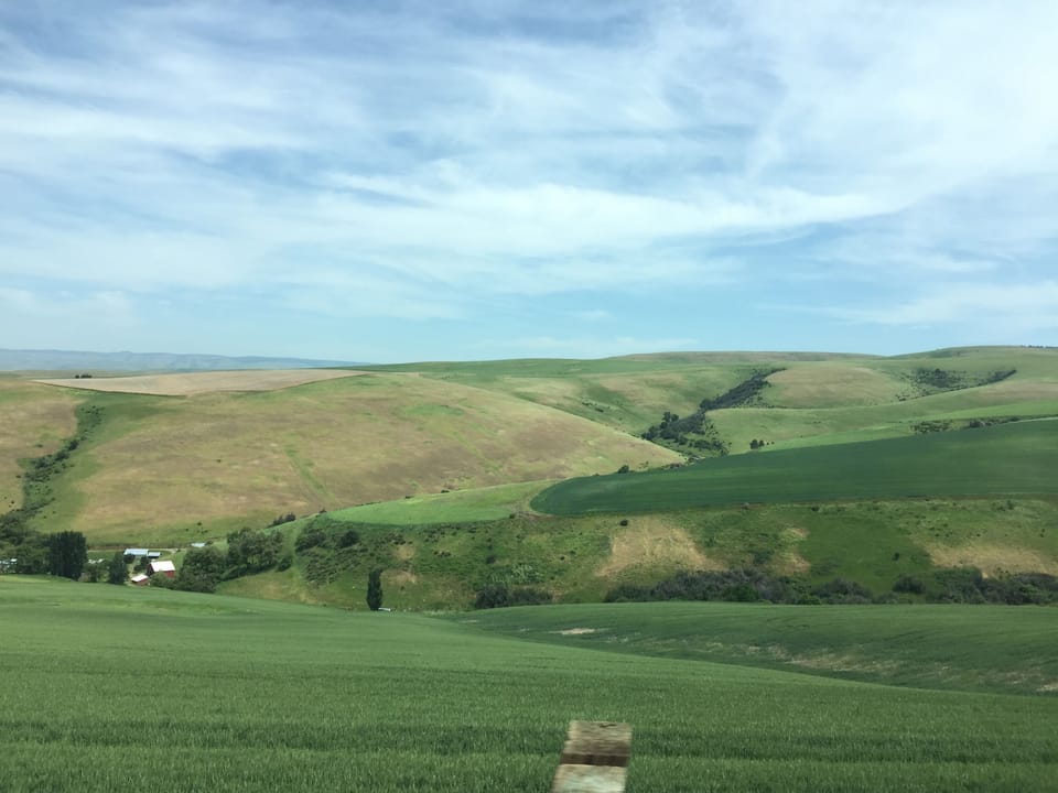 Valley in Spring