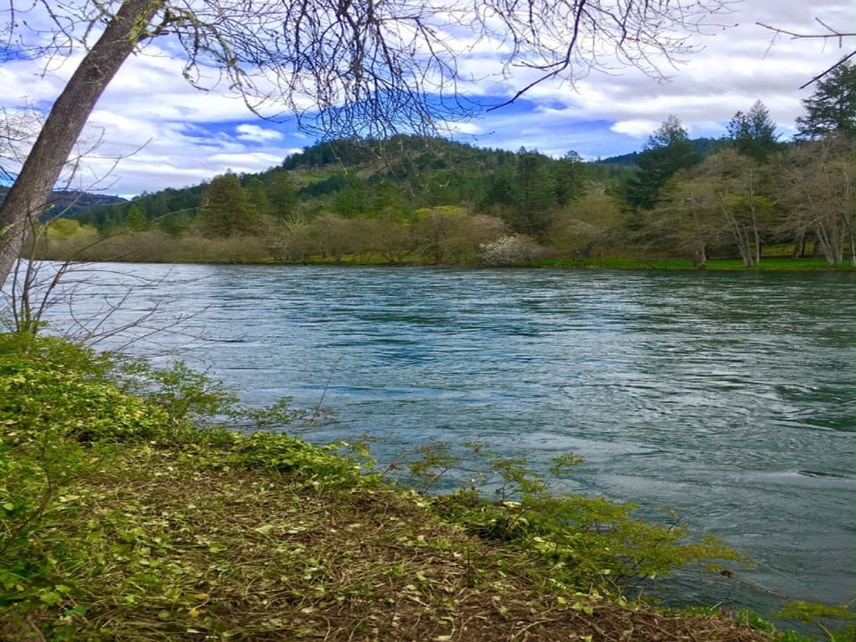 Beautiful upstream view. Bank Fishing only 
