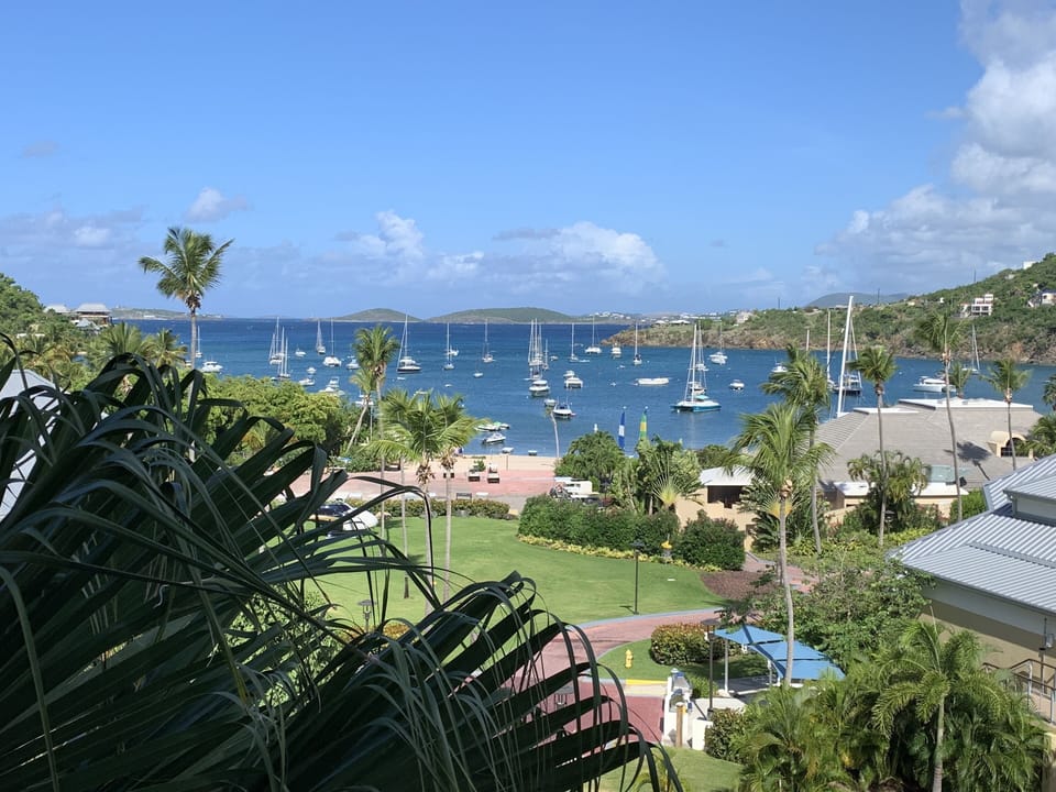 View from Bay Vista