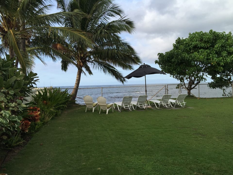 Backyard facing the ocean