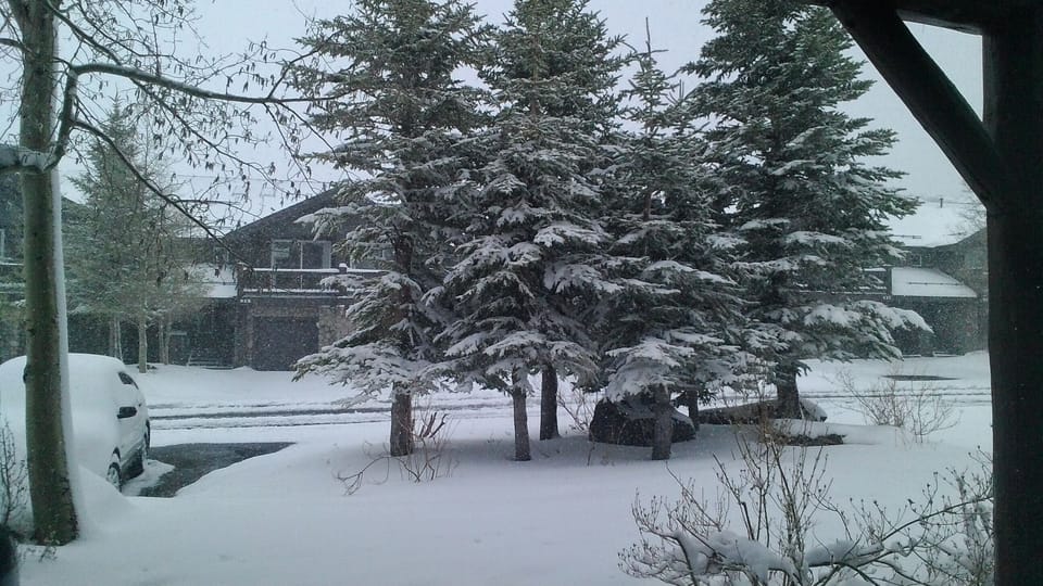 View from outside porch area during snow storm