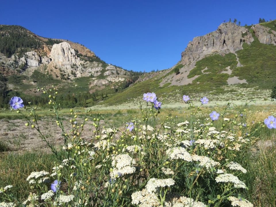 Meadow, Sherwin mountains, and Mammoth Rock immediately behind condo complex.