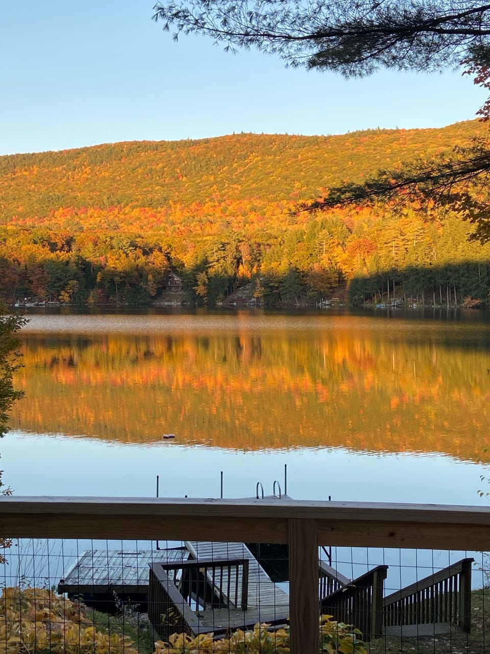 Fall foliage 