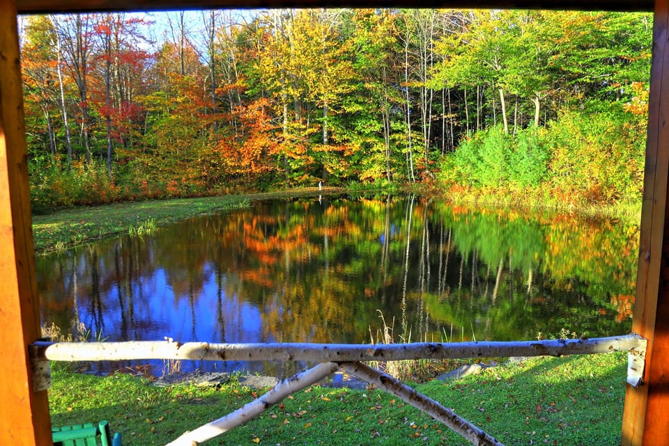 Beautiful photo taken by guest