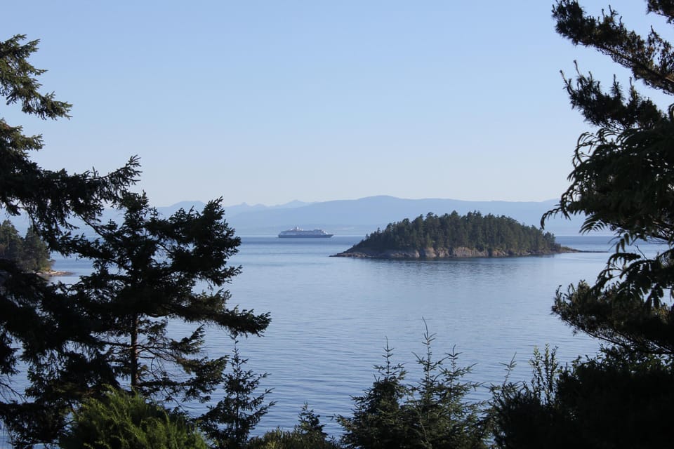 Cruise ship passing in the summer